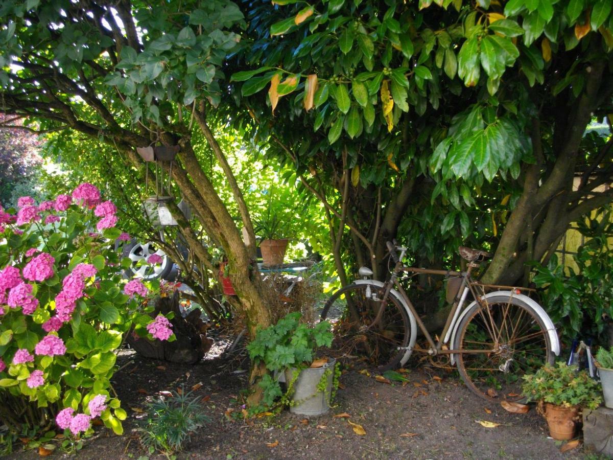 Au Bois Dormant Bed & Breakfast Huby-Saint-Leu Dış mekan fotoğraf